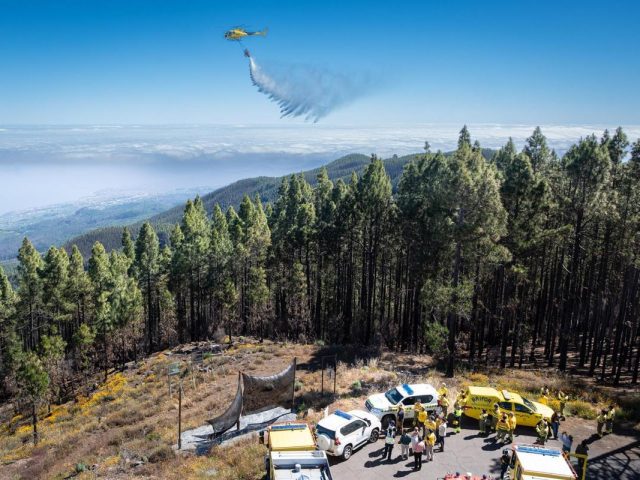Canarias no es un cuartel: exigimos prevención forestal, no militarización