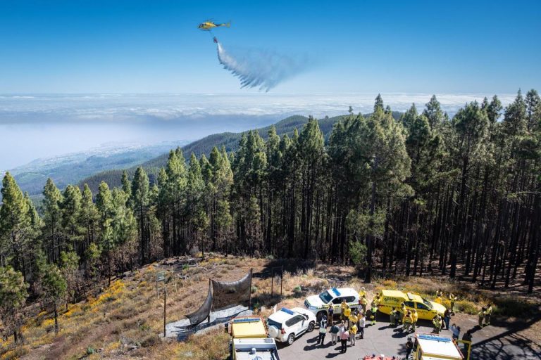Canarias no es un cuartel: exigimos prevención forestal, no militarización