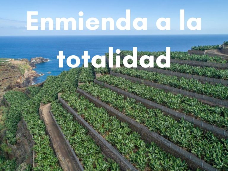 Por qué Liberación Canaria propone una enmienda a la totalidad