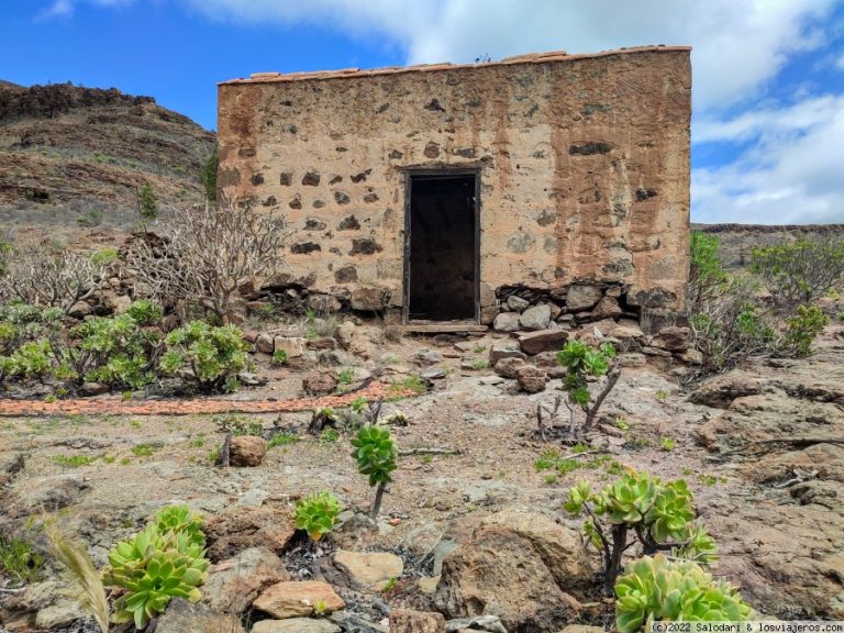 Razones para una enmienda a la totalidad de la ley de montes