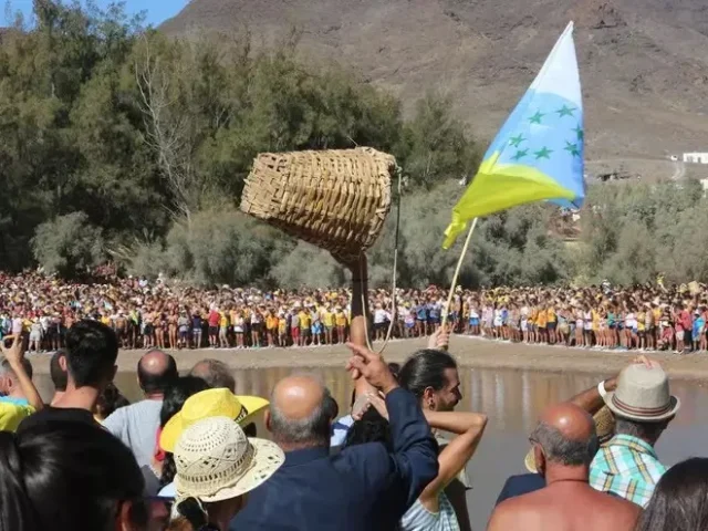 A mis 7 estrellas verdes