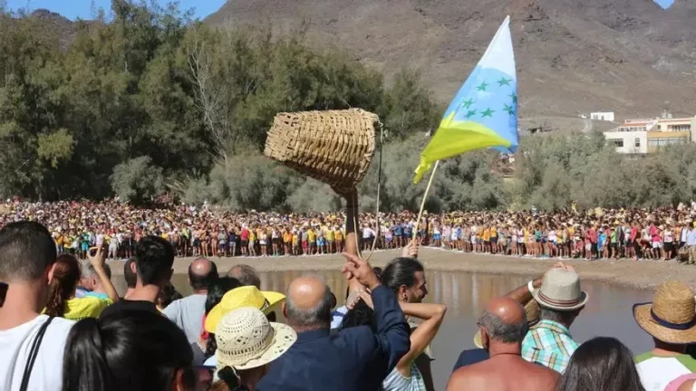 A mis 7 estrellas verdes