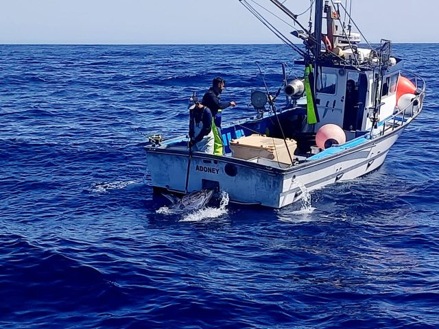 Jaque a la pesca artesanal canaria