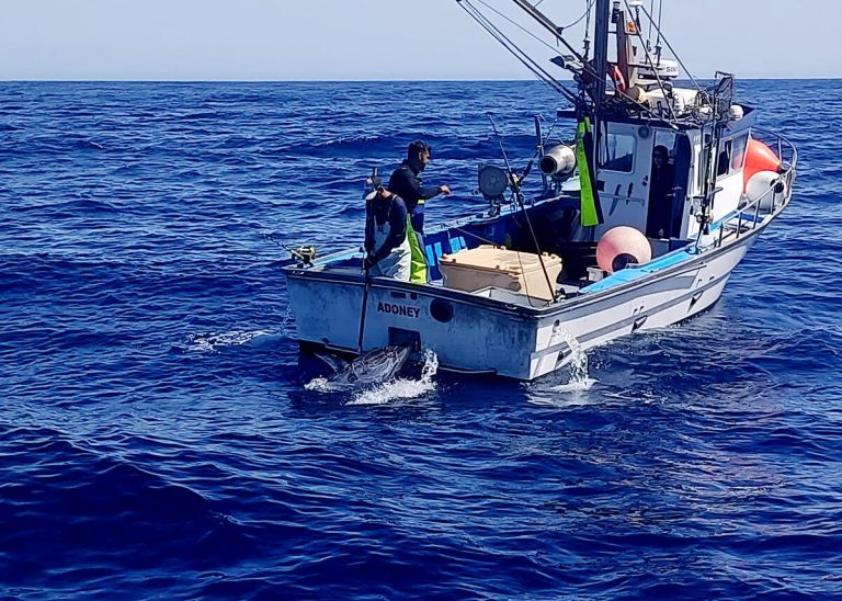 Jaque a la pesca artesanal canaria