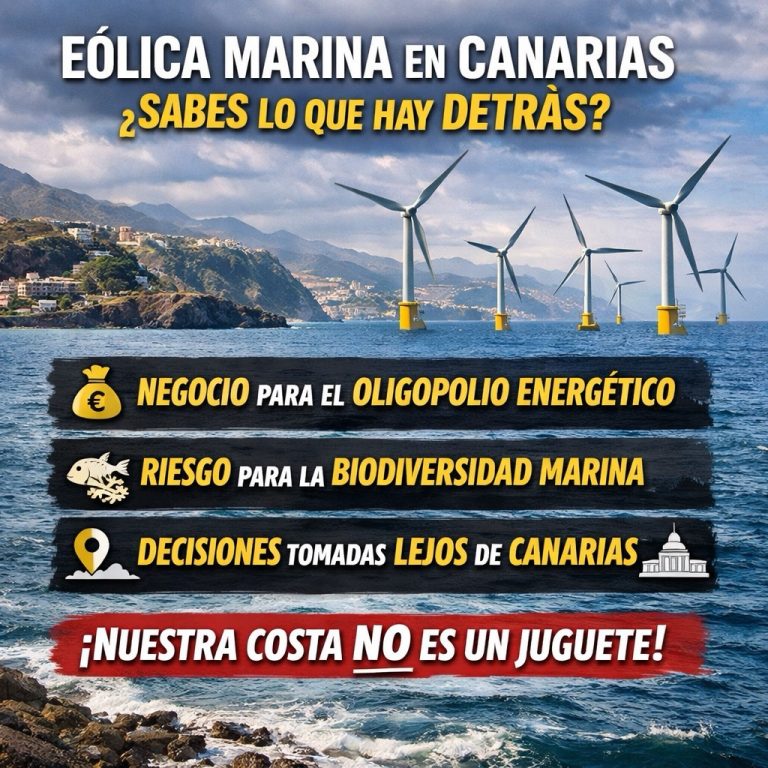 Eólica marina : lo que hay detrás